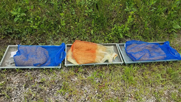 f:id:shirotofarm:20210516190610p:plain