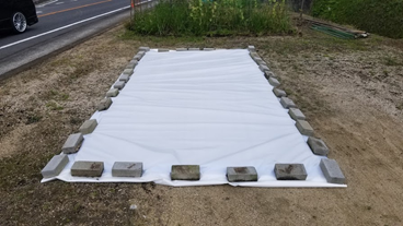 f:id:shirotofarm:20210516195514p:plain