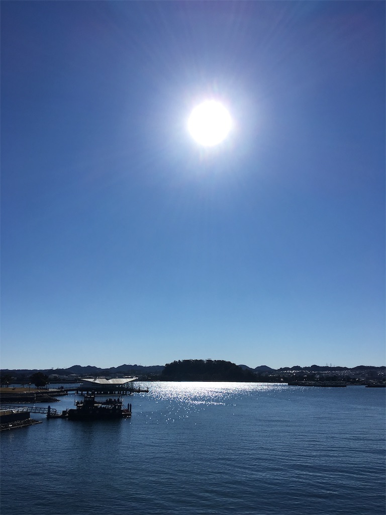 f:id:shirotomidori:20190129010652j:image f:id:shirotomidori:20190129010652j:image