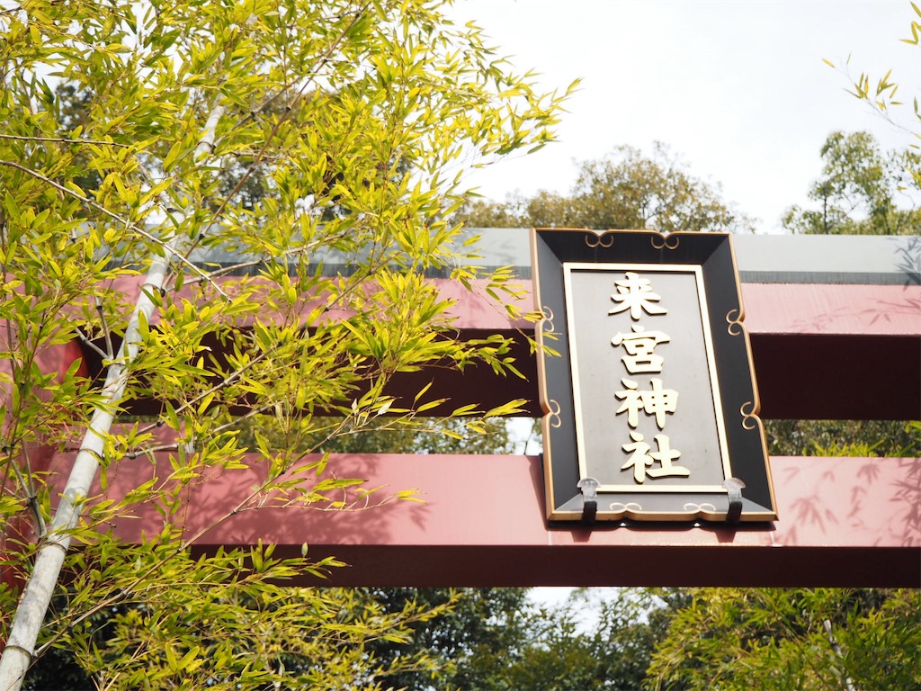f:id:shirotomidori:20190205001447j:image