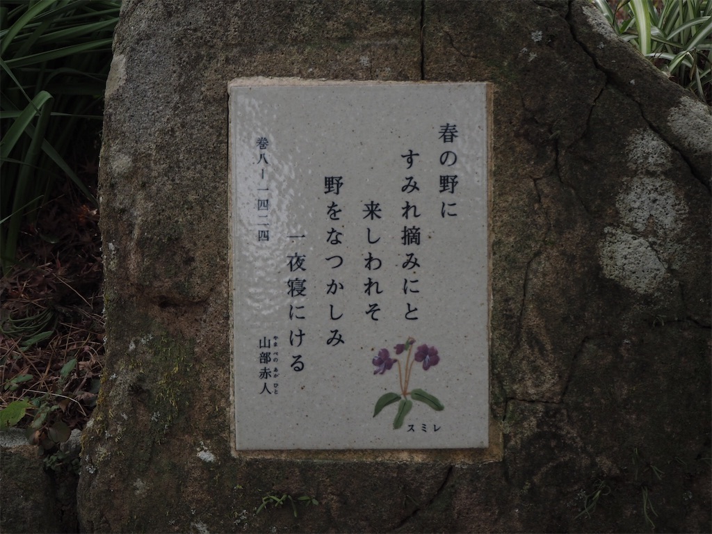 f:id:shirotomidori:20190205001508j:image
