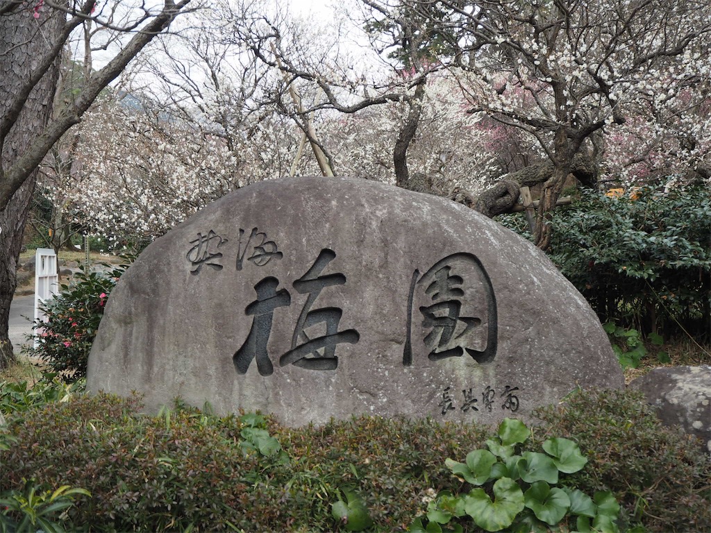 f:id:shirotomidori:20190205001517j:image