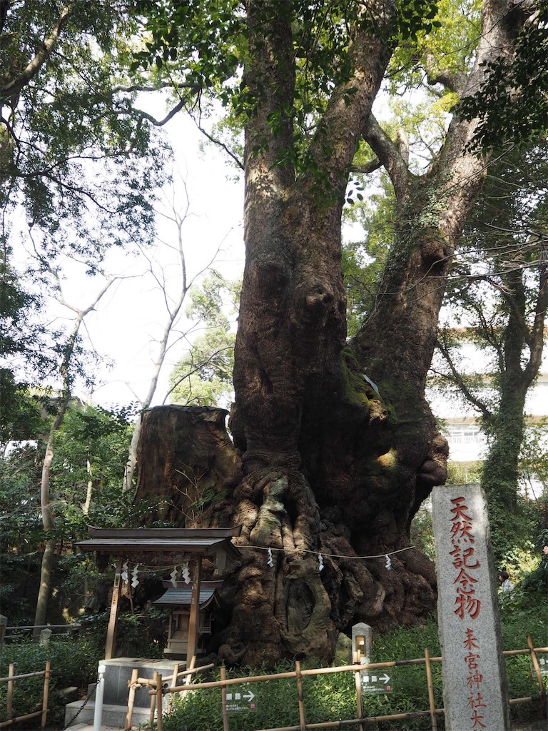 f:id:shirotomidori:20190205001912j:image