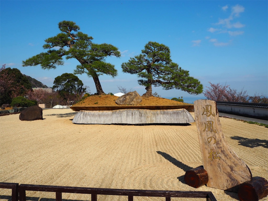 f:id:shirotomidori:20190205002850j:image