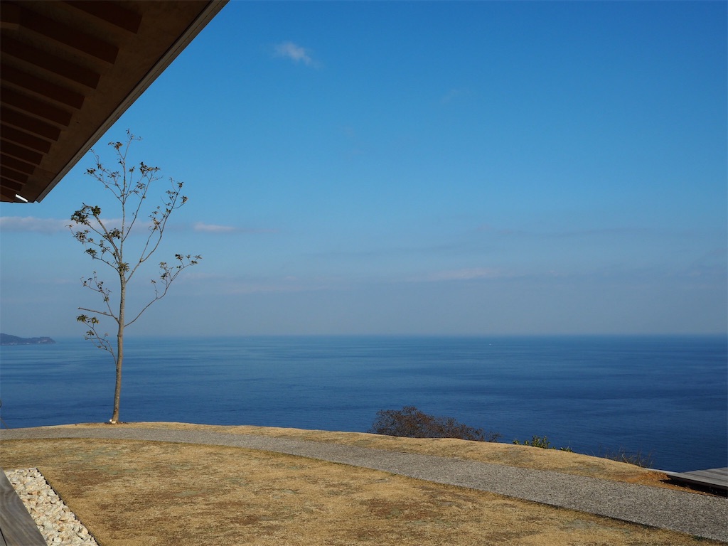 f:id:shirotomidori:20190205002855j:image