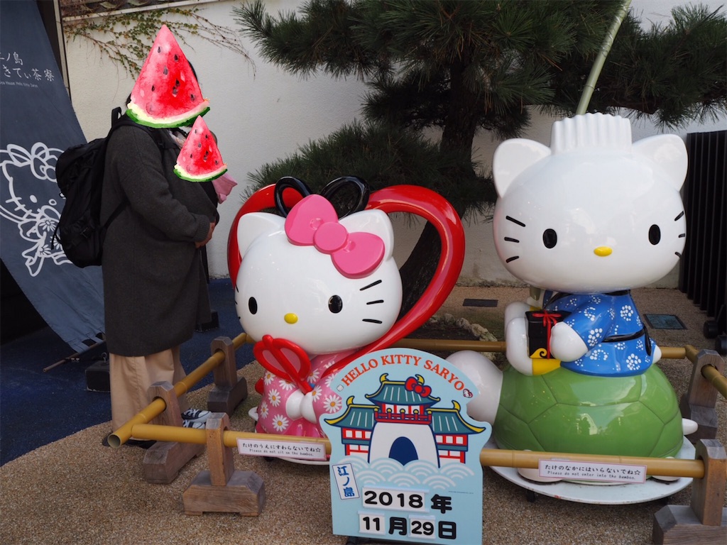 f:id:shirotomidori:20190208210254j:image