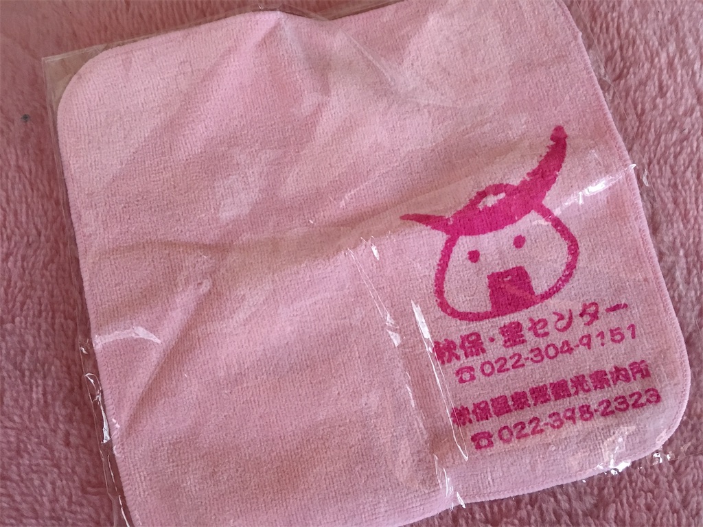 f:id:shirotomidori:20190301082349j:image