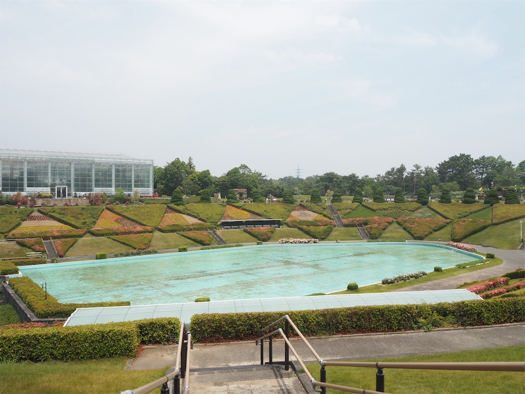 f:id:shirotomidori:20190605020212j:image
