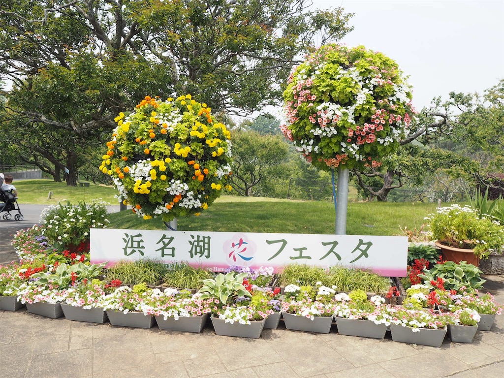 f:id:shirotomidori:20190605020215j:image