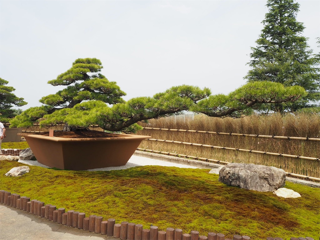 f:id:shirotomidori:20190605020625j:image