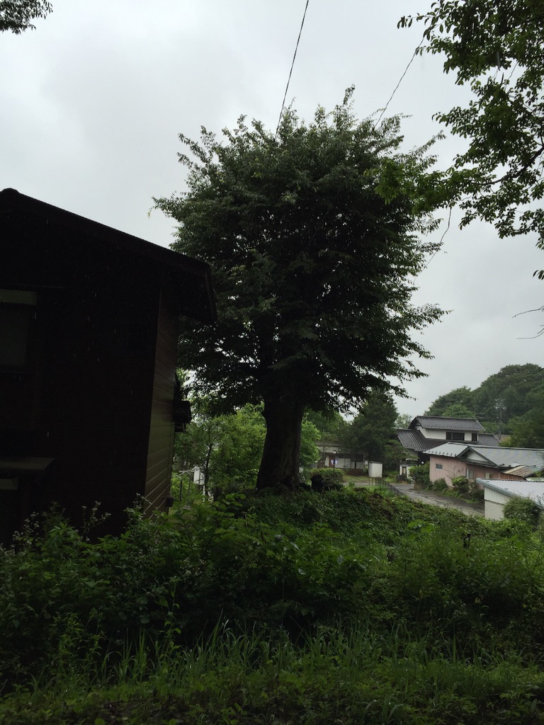 f:id:shirotonakama:20160710223352j:image f:id:shirotonakama:20160710223352j:image