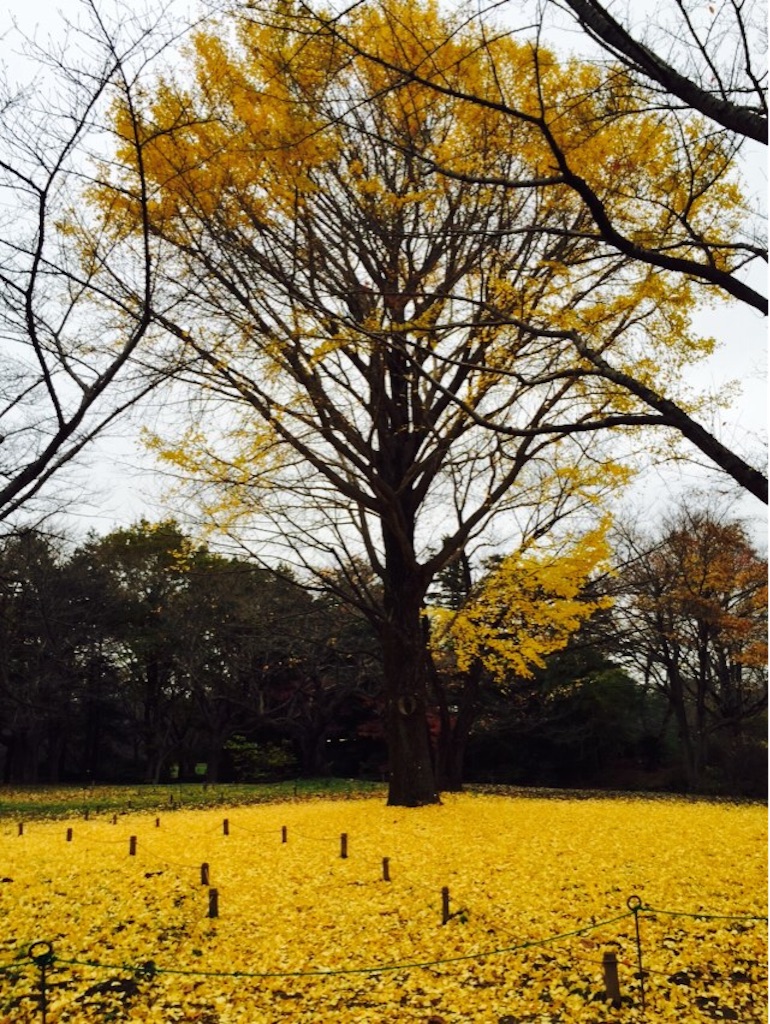 f:id:shirotonakama:20161124211223j:image f:id:shirotonakama:20161124211223j:image