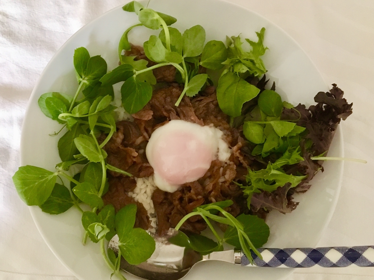 牛丼