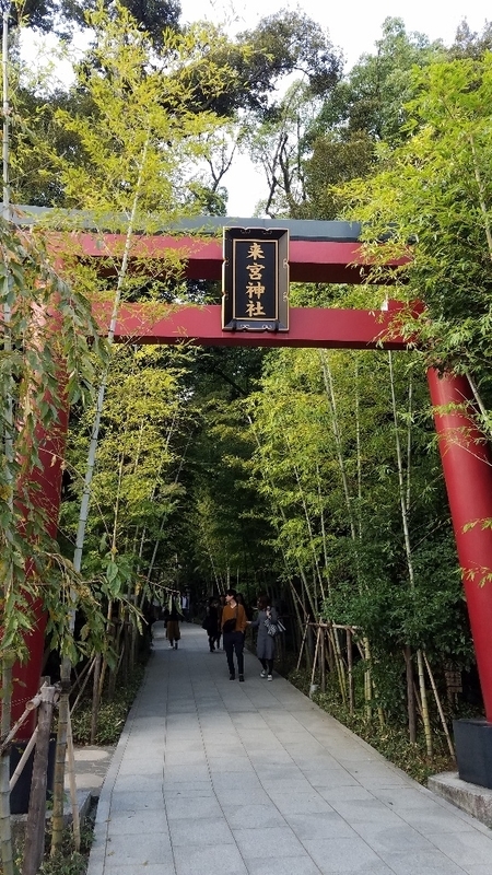 イメージ 4