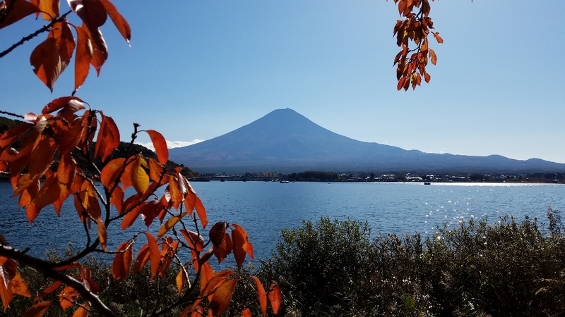 イメージ 5