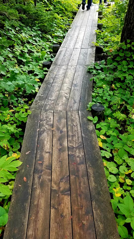 f:id:shiroutotabi:20190901091351j:plain f:id:shiroutotabi:20190901091351j:plain