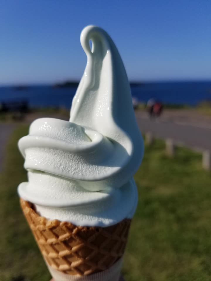 f:id:shiroutotabi:20190901121249j:plain