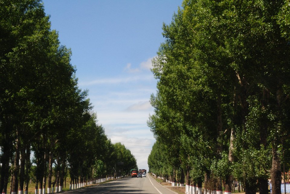 f:id:shiroutotabi:20190907100324j:plain