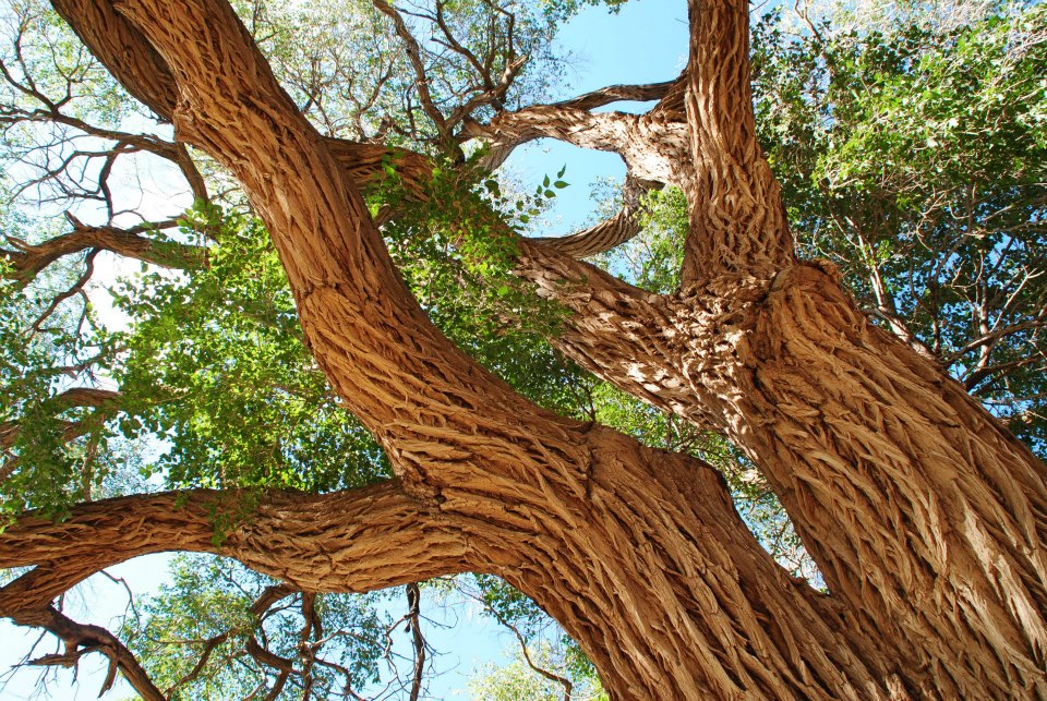 f:id:shiroutotabi:20190907100650j:plain