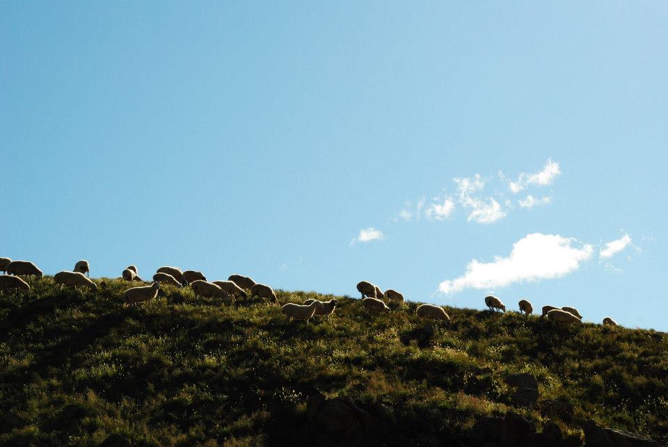 f:id:shiroutotabi:20190907100953j:plain