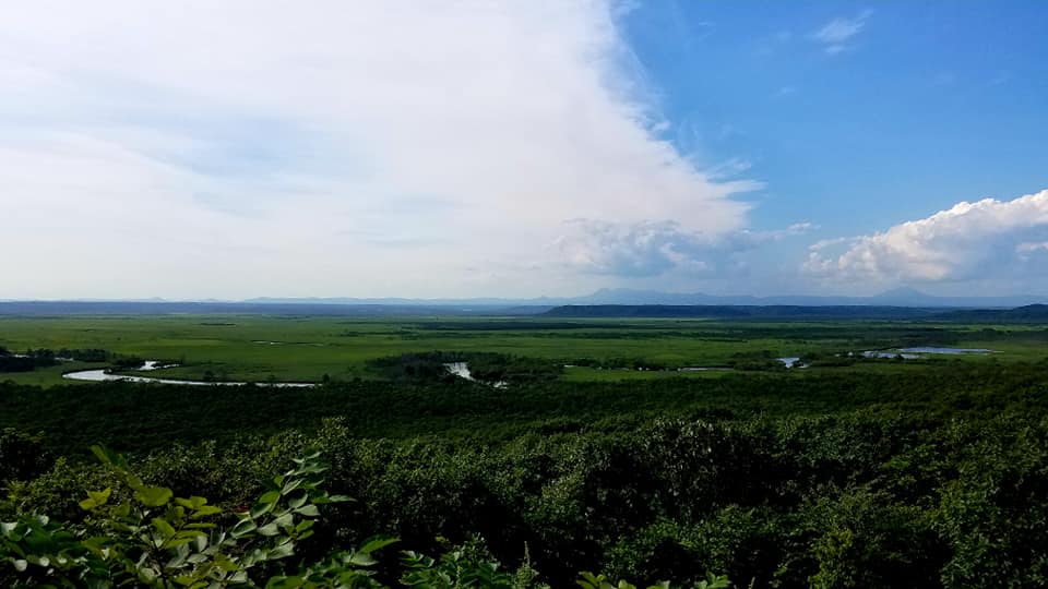 f:id:shiroutotabi:20190908141614j:plain f:id:shiroutotabi:20190908141614j:plain