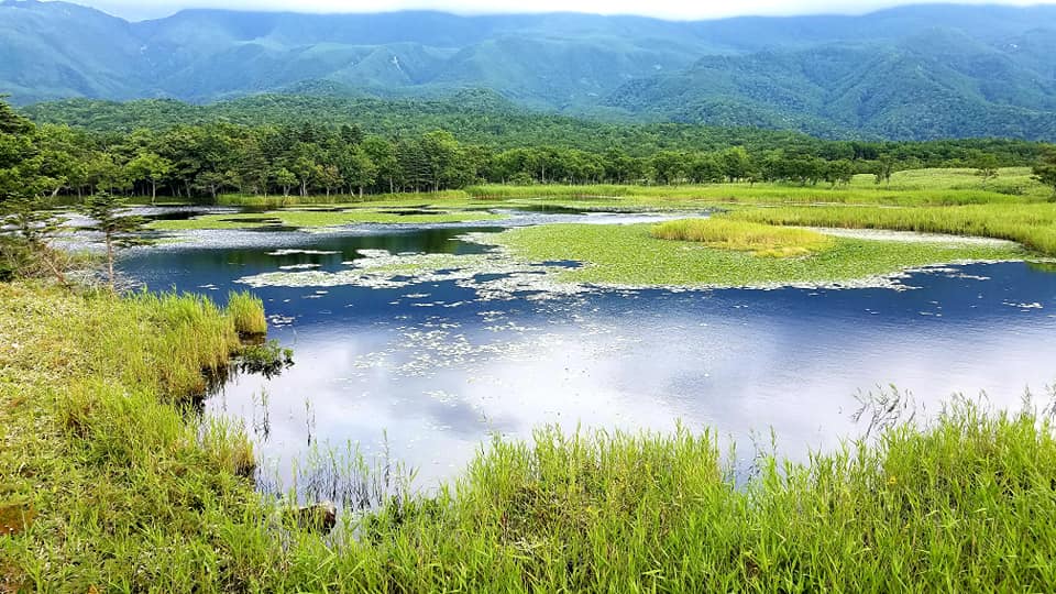 f:id:shiroutotabi:20190908143535j:plain