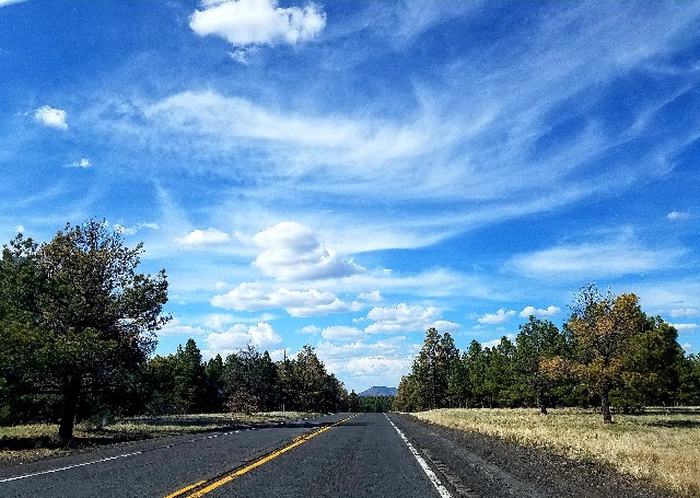 f:id:shiroutotabi:20191012233512j:image f:id:shiroutotabi:20191012233512j:image