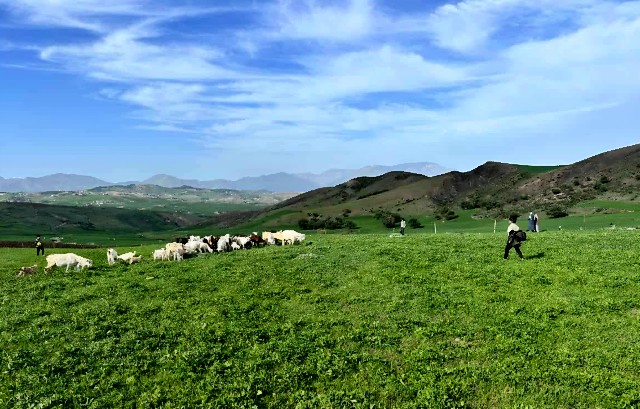 f:id:shiroutotabi:20250608025835j:image f:id:shiroutotabi:20250608025835j:image