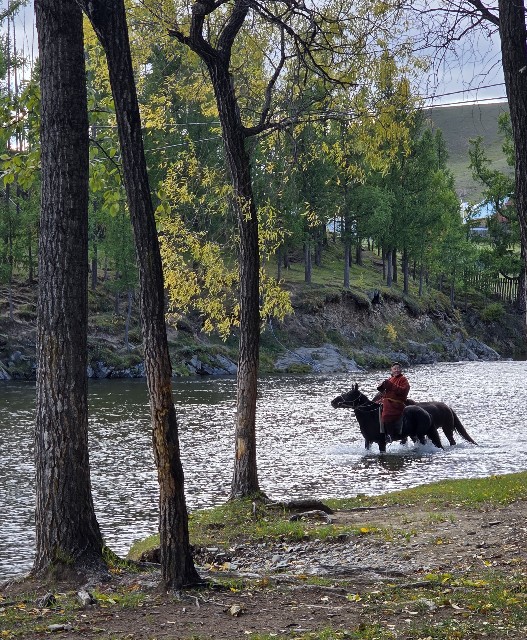 f:id:shiroutotabi:20250910221919j:image f:id:shiroutotabi:20250910221919j:image