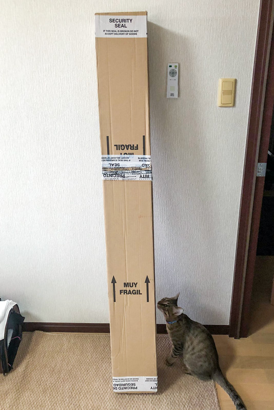 f:id:shiruicha:20200624165739j:plain f:id:shiruicha:20200624165739j:plain