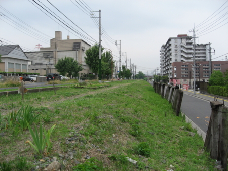 旧国鉄宇品線 跡地の花々の南端からさらに南側を望む