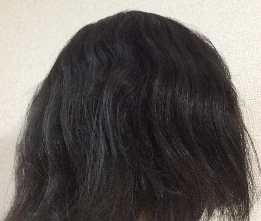 f:id:shishi-book:20200514150417j:plain f:id:shishi-book:20200514150417j:plain
