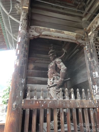 f:id:shishi-report:20180820104222j:plain f:id:shishi-report:20180820104222j:plain