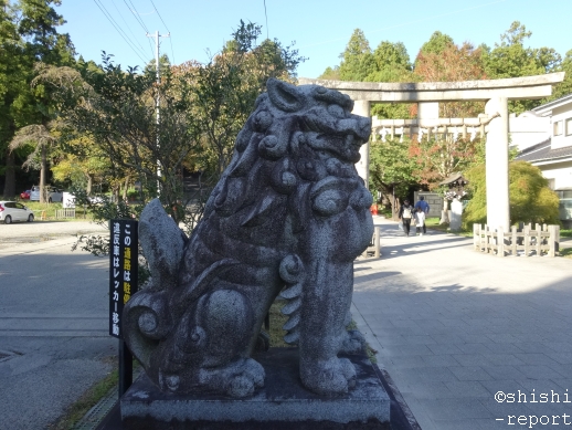 f:id:shishi-report:20181121122401j:plain f:id:shishi-report:20181121122401j:plain