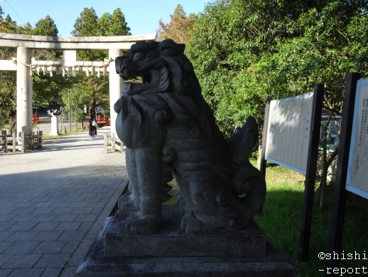 f:id:shishi-report:20181121122427j:plain f:id:shishi-report:20181121122427j:plain