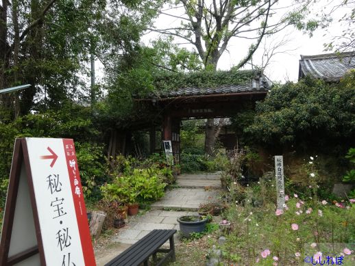 奈良 般若寺 宝蔵院 秘仏白鳳阿弥陀如来 仏像 ときどきワンダー観光 奈良 般若寺 宝蔵院 秘仏白鳳阿弥陀如来 仏像 ときどきワンダー観光