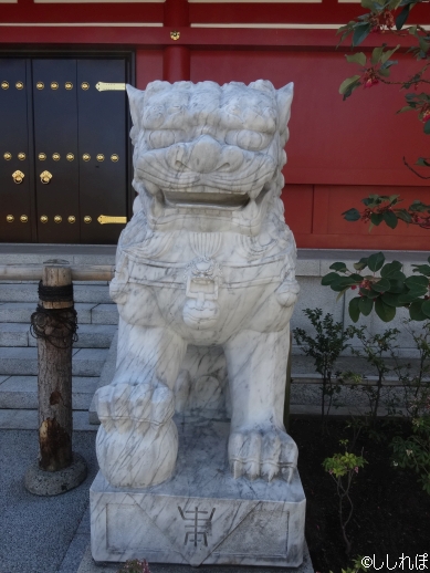 f:id:shishi-report:20200125134529j:plain f:id:shishi-report:20200125134529j:plain
