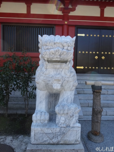 f:id:shishi-report:20200125134537j:plain f:id:shishi-report:20200125134537j:plain