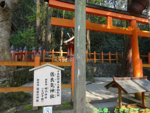 f:id:shishi-report:20200417005023j:plain