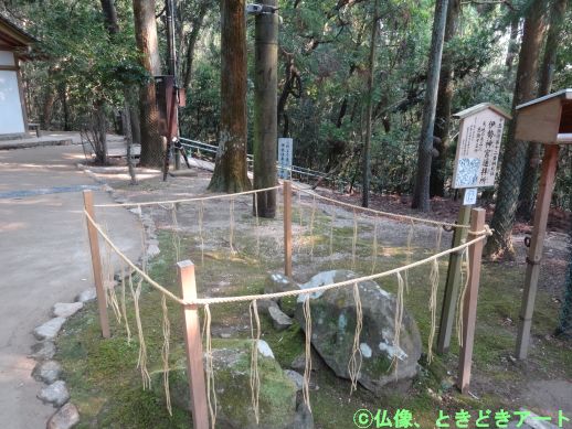 f:id:shishi-report:20200417010851j:plain