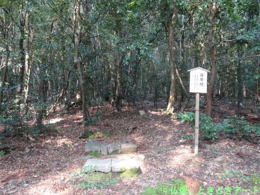 f:id:shishi-report:20200417115508j:plain