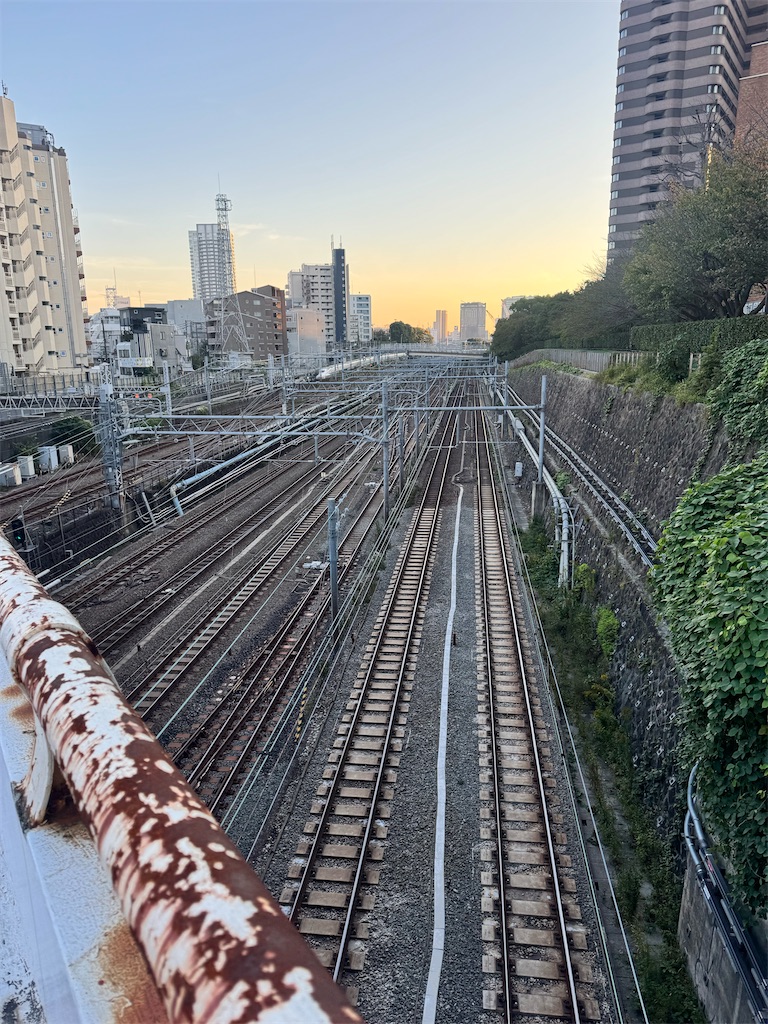 f:id:shishimaru_j:20251105233233j:image