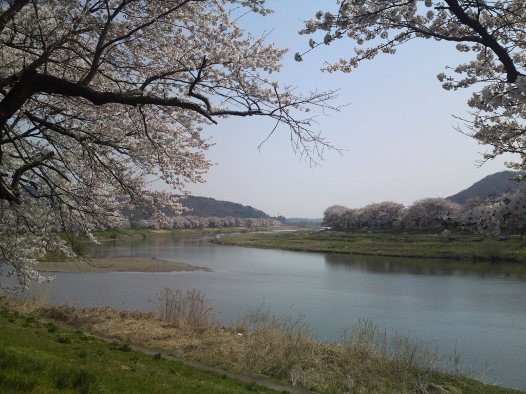 f:id:shishitani:20110416092947j:image