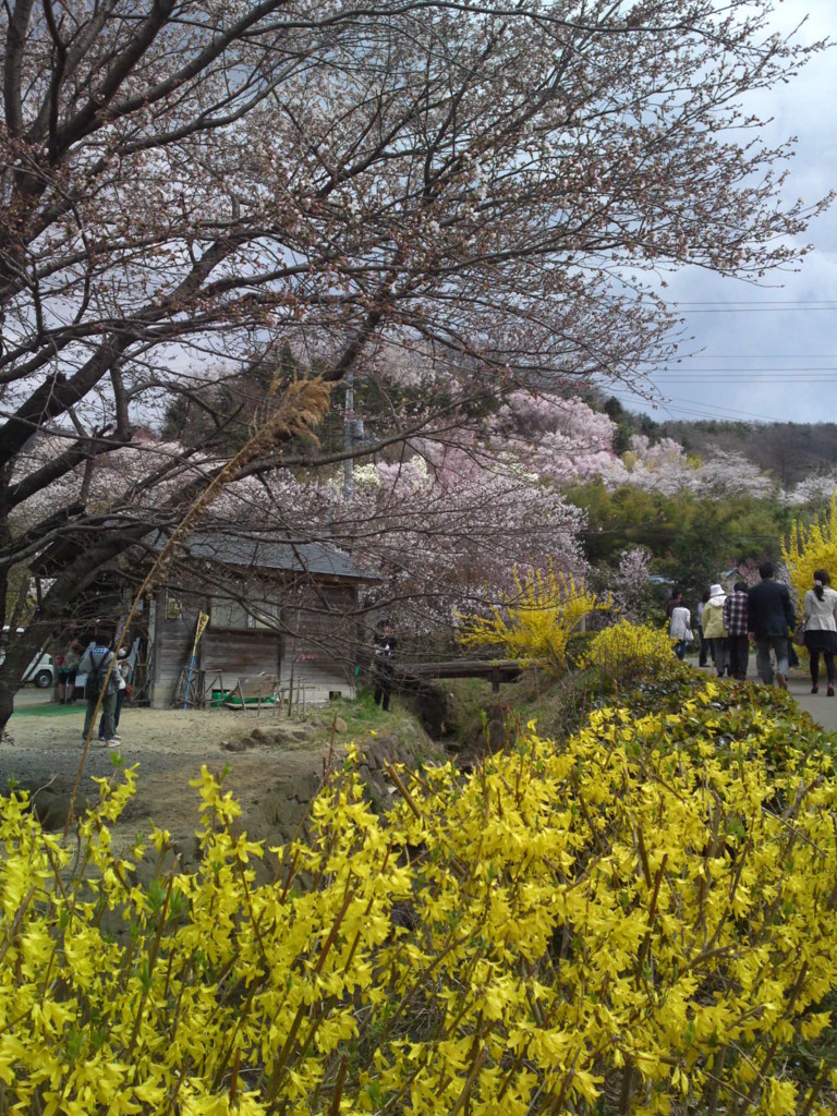 f:id:shishitani:20110416125708j:image