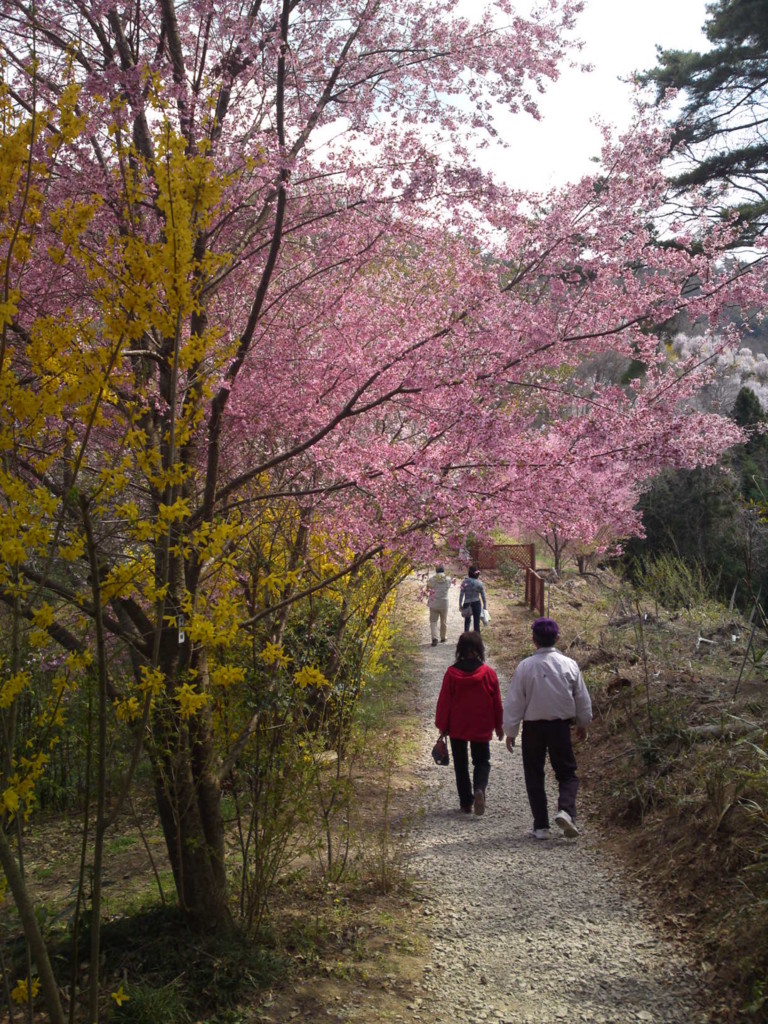 f:id:shishitani:20110416132913j:image
