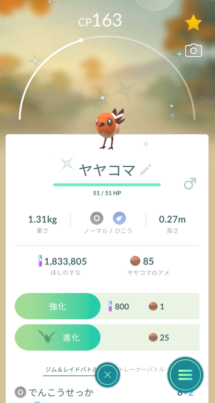 21年3月6日の色違いポケモン ヤヤコマ ちょっとしたこと 21年3月6日の色違いポケモン ヤヤコマ ちょっとしたこと