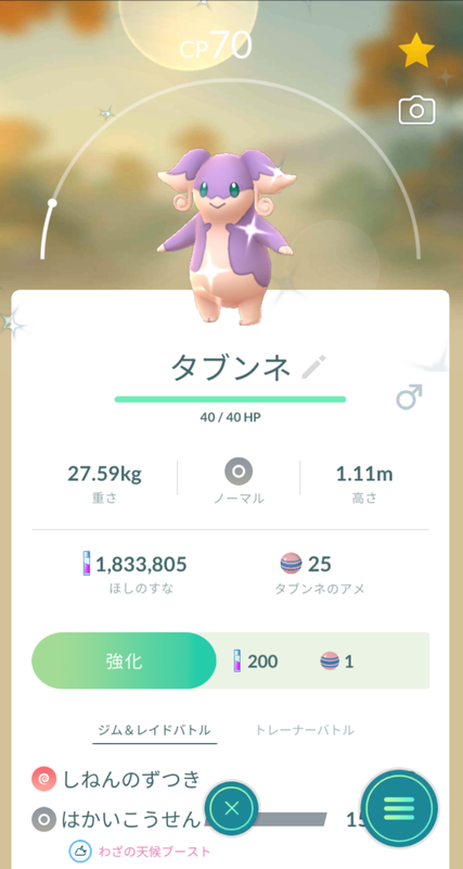 21年9月日の色違いポケモン タブンネ ロコン ちょっとしたこと