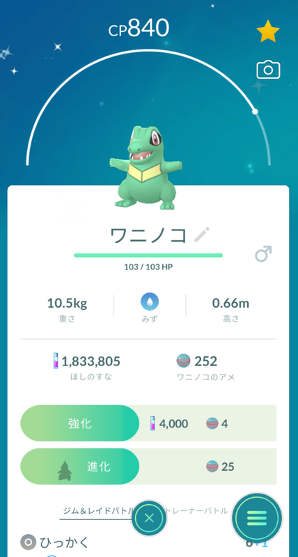 21年11月11日の色違いポケモン ワニノコ ちょっとしたこと