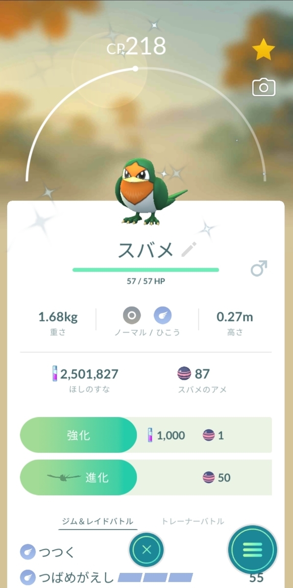 スバメとは ゲームの人気 最新記事を集めました はてな