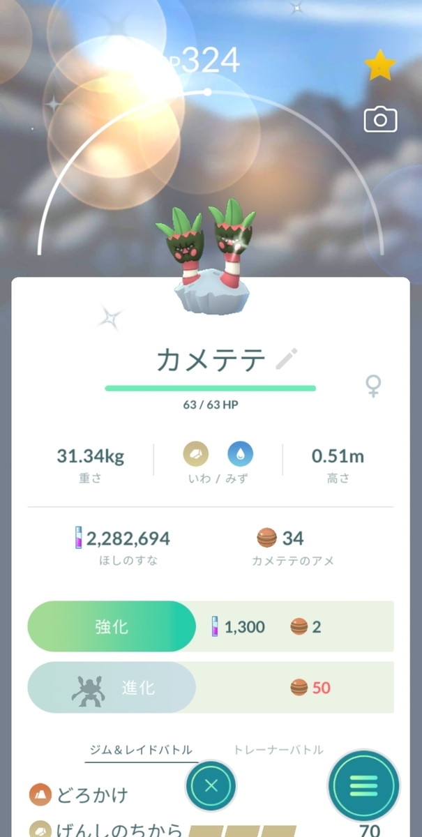 22年5月15日の色違いポケモン ちょっとしたこと